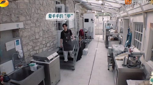 《中餐廳8》爭(zhēng)議升級(jí) 林述巍被鎖冷庫(kù)，導(dǎo)演做法引眾怒